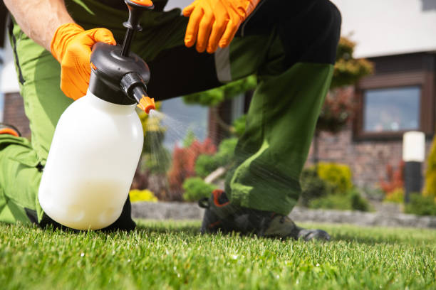 Best Pest Removal Services  in Jamestown, ND