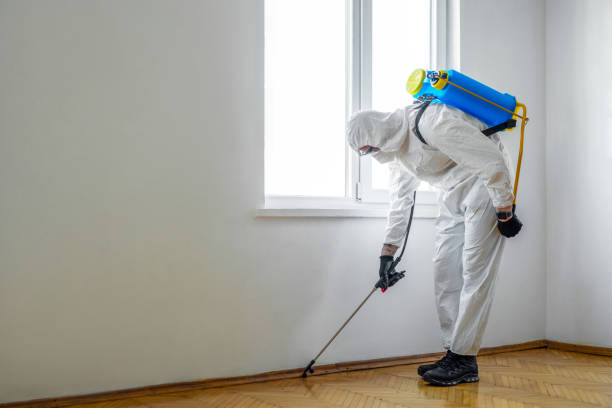 Best Local Pest Control Services  in Jamestown, ND