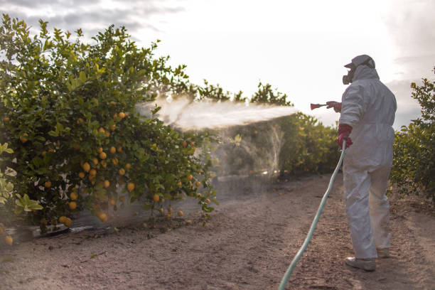Best Residential Pest Control  in Jamestown, ND