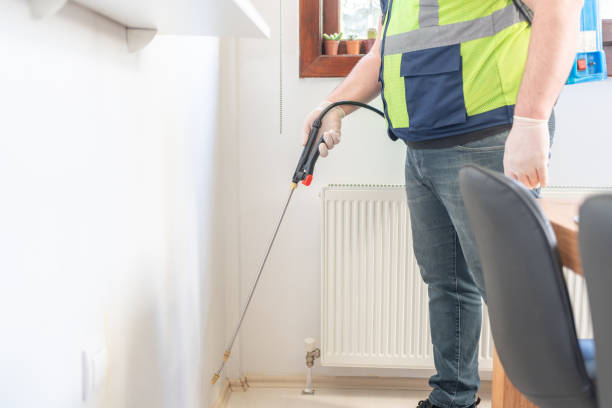 Best Termite Control Services  in Jamestown, ND