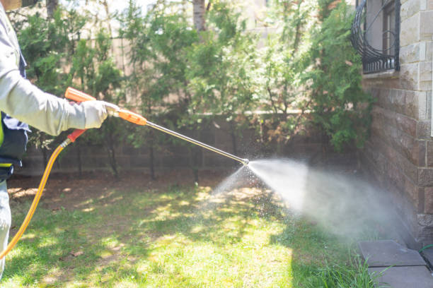 Best Ant Control Services  in Jamestown, ND