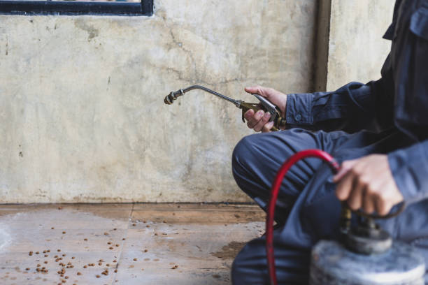 Best Wasp Removal Services  in Jamestown, ND